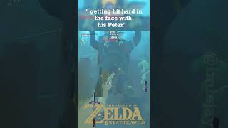 hard hit #gaming #zelda #botw #breathofthewildclip