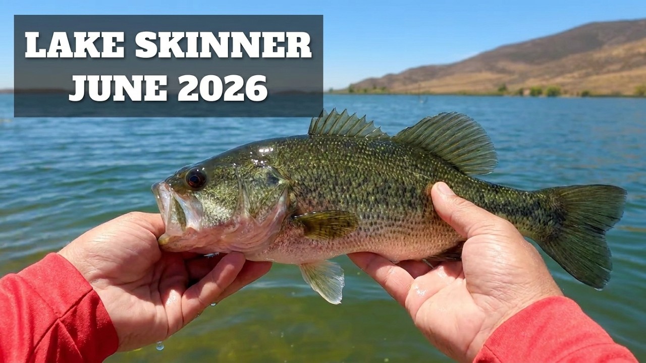 Largemouth Bass Fishing Lake Skinner