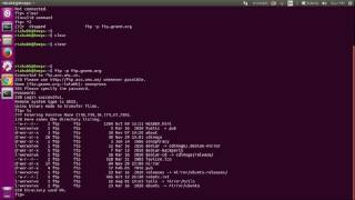 FTP - File Transfer Protocol Servers