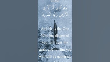 سورة المؤمنون من الأية 76 الى 81 ياسر الدوسري