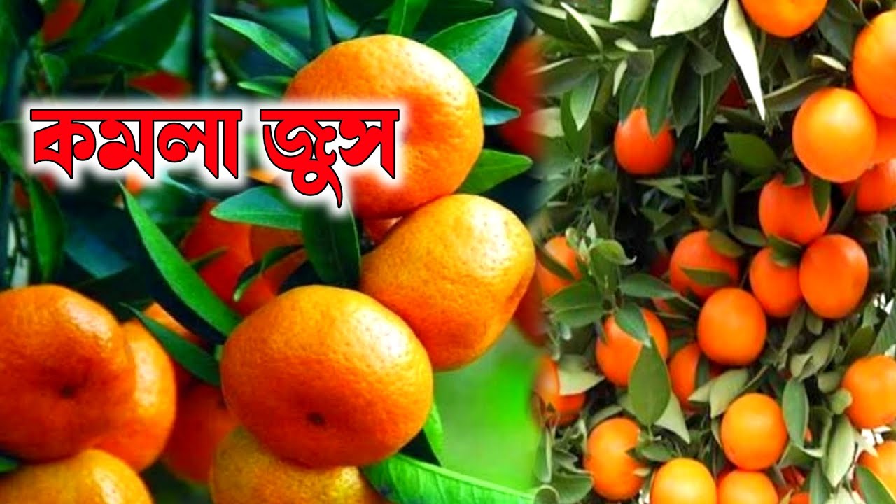 Home made juice Indian lemon juice skin glowing fruit juice