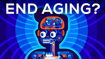 Why Age? Should We End Aging Forever?