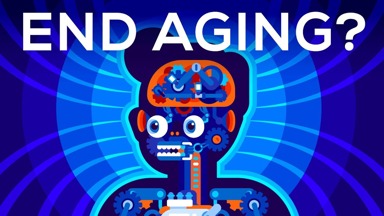 ⁣Why Age? Should We End Aging Forever?