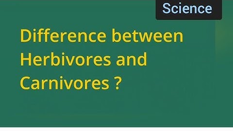 difference between Herbivores and Carnivores animals ?