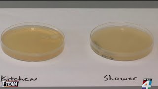 Celebrity New water test results from Arlington apartment reveal high levels of bacteria, professor says Wealth