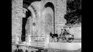 Assisi - La raccolta delle olive in Umbria | Documentario Inglese (1949)