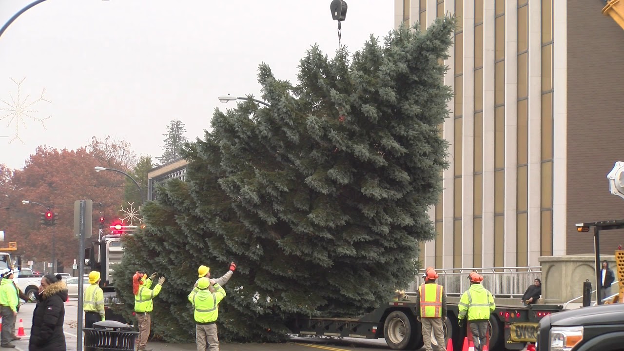Jamestown Christmas Tree Setup For Holiday Season YouTube