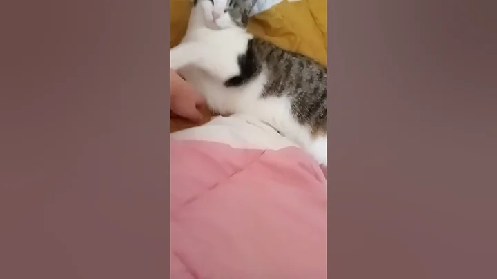 Found a gem in the drafts#drafts