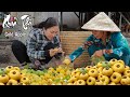 Harvesting gold apple goes to the market sell  emma daily life