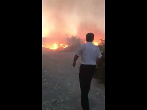 В Геленджике потушили