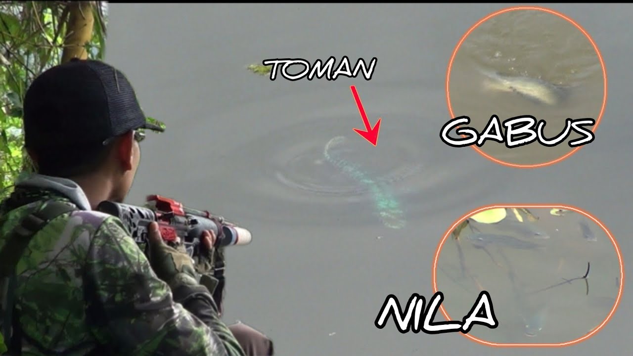 Paser mania | KELILING SAGULING HUNTING IKAN