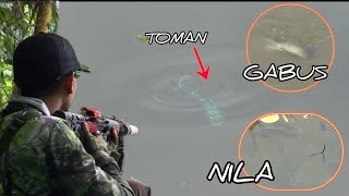 Paser mania | KELILING SAGULING HUNTING IKAN#maserikan#paserikanterbaru#hunterfish