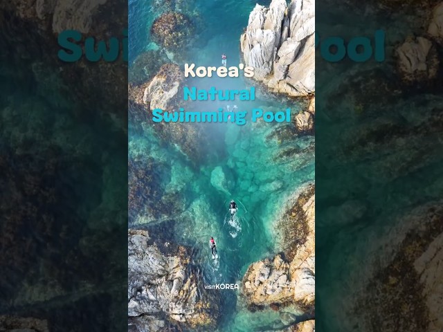 A Natural Swimming Pool Carved by Nature — Jangho Port, Samcheok