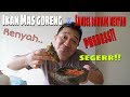 Ikan mas goreng sambal bawang mentah  renyah gurih nikmat