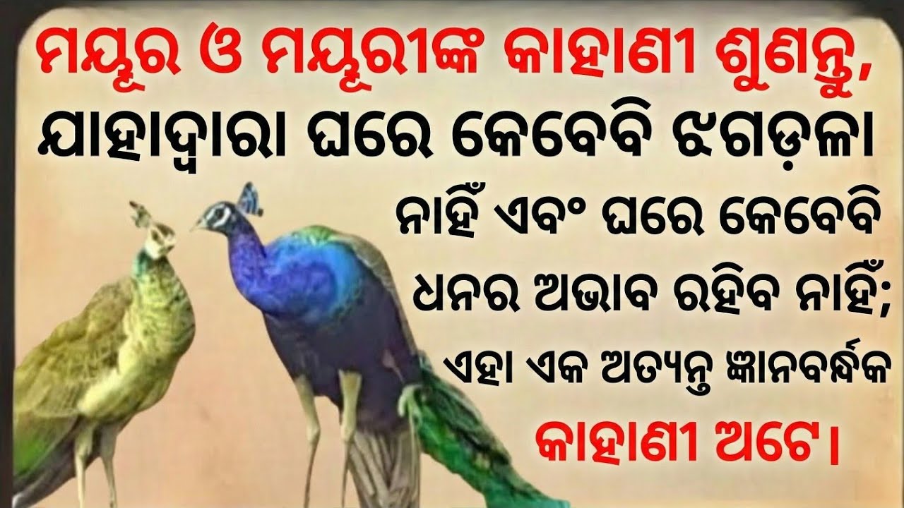 ଯଦି ଆପଣ ମୟୂର ଓ ମୟୂରୀଙ୍କର ଏହି କଥାକୁ ଧ୍ୟାନ ଦେଇ ଶୁଣିବେ, ତେବେ ଘର ପରିବାରରେ କେବେବି କଳହ କିମ୍ବା ଅଶାନ୍ତି ହେବ 