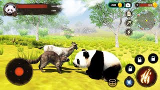 The Panda Simulator (by Wildlife) - Funny Panda Android Gameplay #2 | Dishoomgameplay screenshot 5
