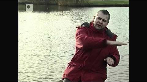 Electromagnetic Waves - The Physical World: Waves and Relativity (3/5)