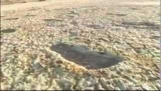 The Willandra Footeps - Se Australia, 20,000 Year Old Human Footprints