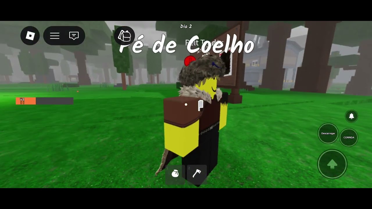 8 de fevereiro de 2026