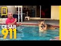 Pool Time Progress | Cesar 911 Pool Time Progress | Cesar 911