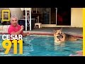 Pool Time Progress | Cesar 911