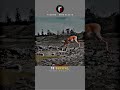Sigma rule 🗿 ~ Then Try Your Best | IMPOSSIBLE 🎯 | Motivational Video Status | #shorts #viral #like