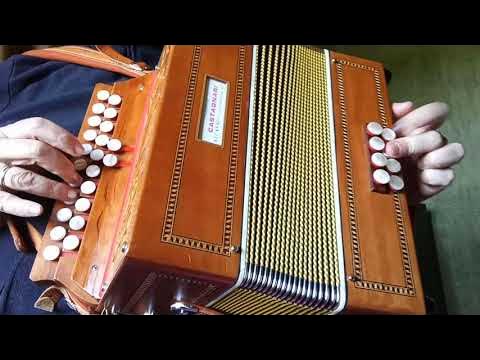 Accordéon diatonique - MAL Auray Accordéon diatonique