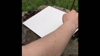 senior project time lapse