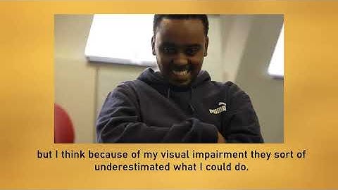 An introduction to the CFVI for professionals