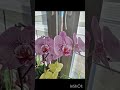 Немного уюта и красоты природы .