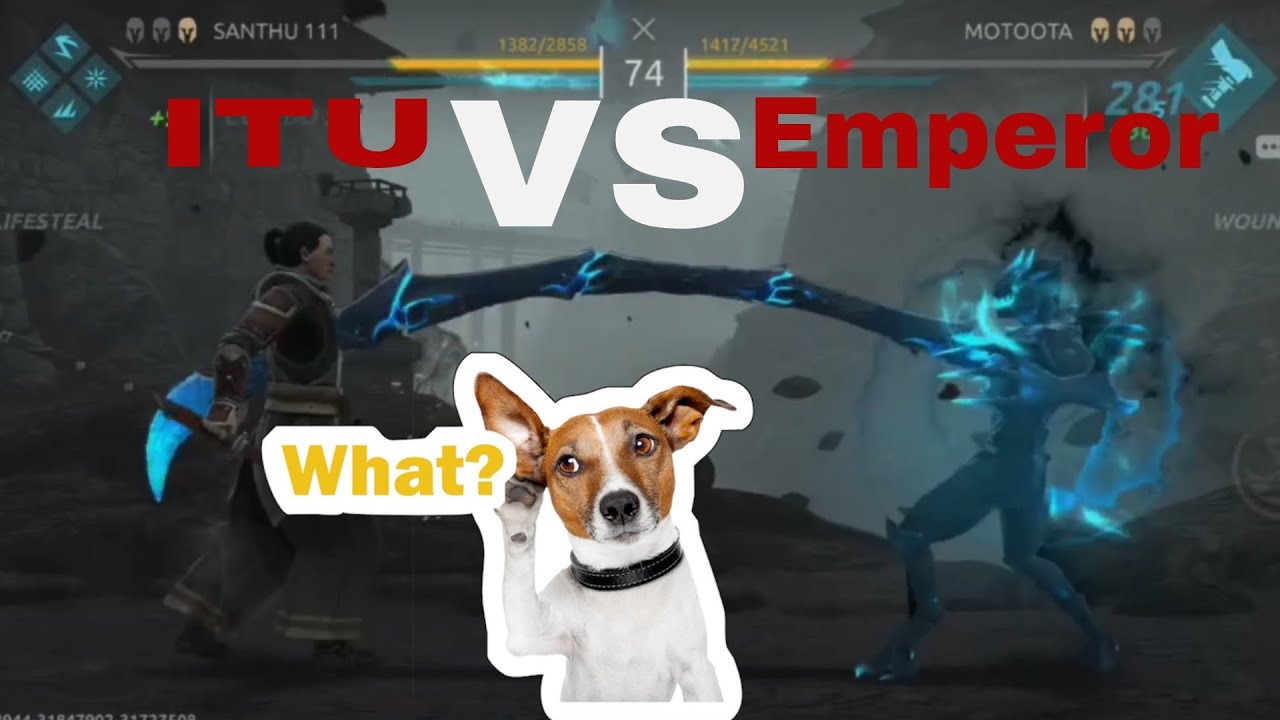 10 Level character In shadow fight 4 💀