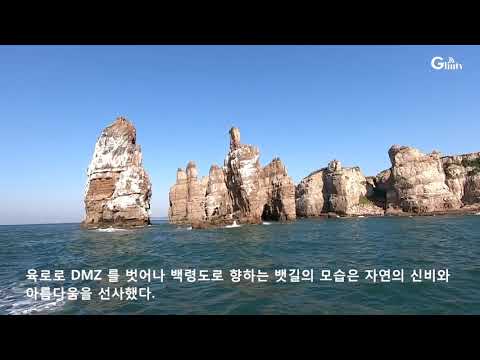 특파원 한국통신 제1부 DMZ서 백령도로