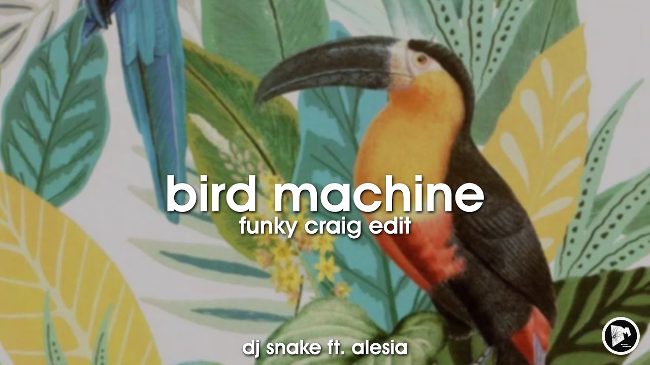DJ Snake ft. Alesia - Bird Machine (Funky Craig Edit)