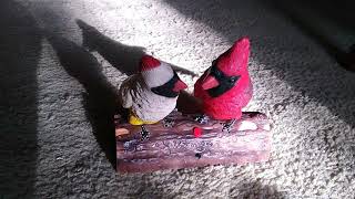 Singing Cardinal Couple (knockoff version) (HQ song audio)