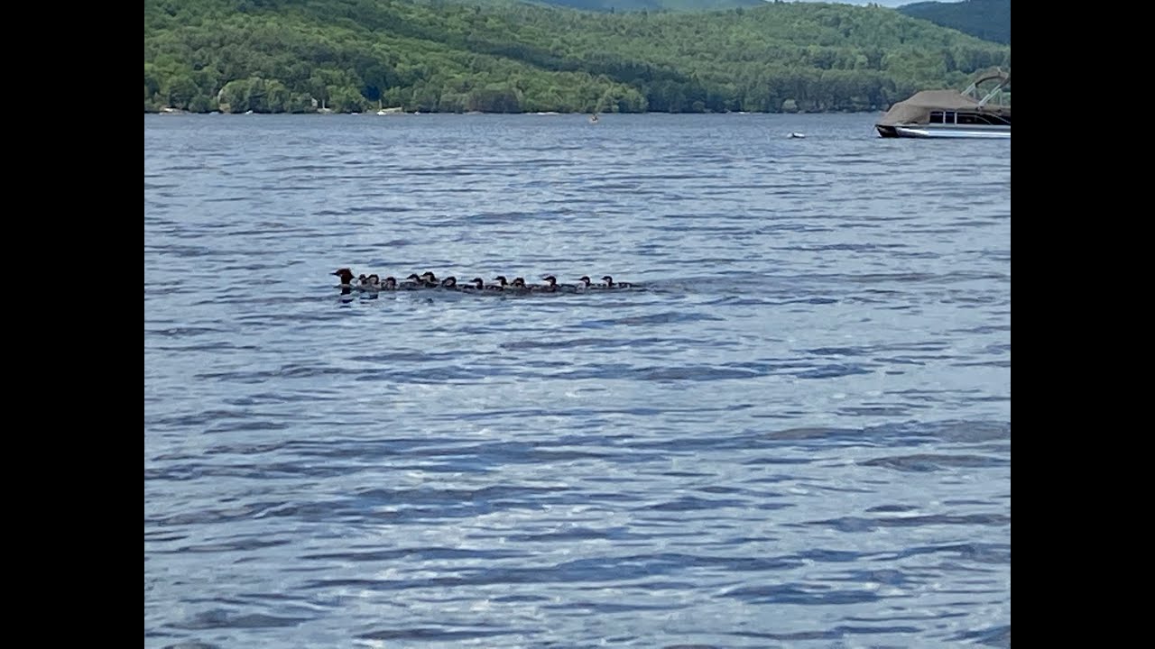 Kevin Hanson's May 2023 Great Sacandaga Lake Real Estate Update YouTube