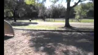 Video-2011-03-12-15-38-21