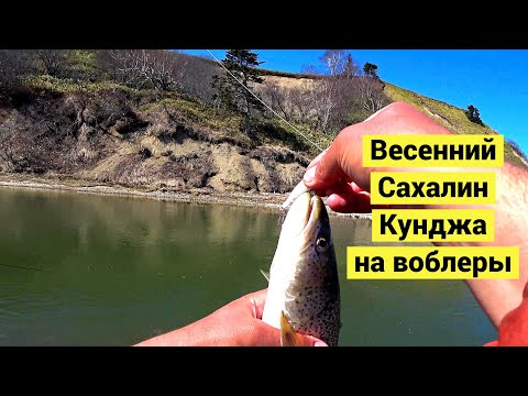 Весенний Сахалин. Кунджа на воблеры