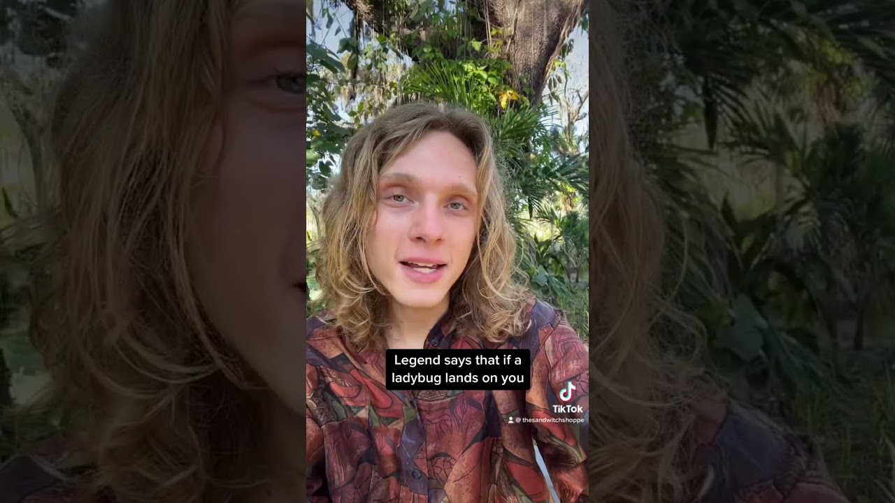 Magical Symbols: Ladybugs 🐞 