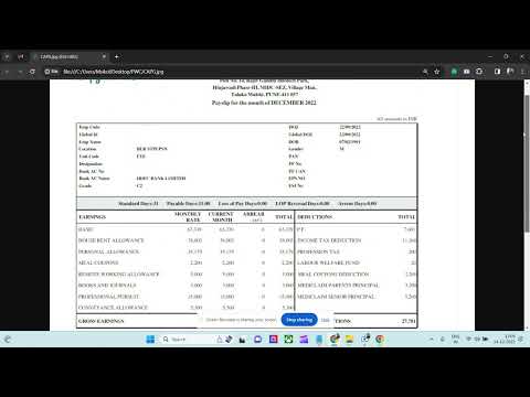 Capgemini Payslip of