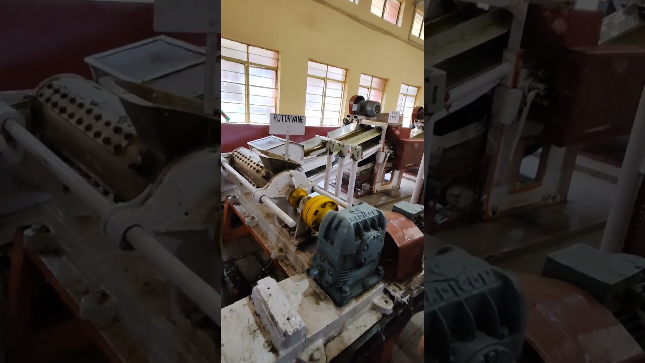 Tea Factory in munnar | Tea production | Kerala | 