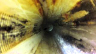 Fp-102 And Potential Mn Oxides