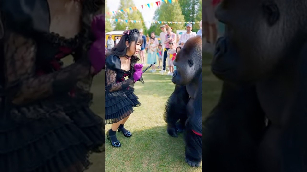 watch this gorilla’s surprise when a woman performs magic 🦍 
