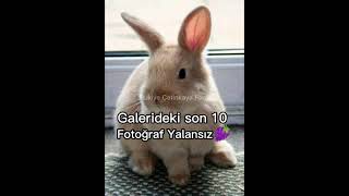 Bakalım 10 fotoğrafım ne?🪐🌙