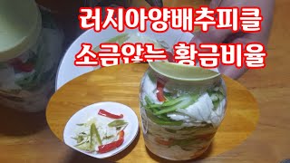 양배추피클/황금비율/소금않는/아삭아삭새콤달콤 위장에좋은 양배추피클[huaya화야금]