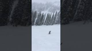 IMG 0220