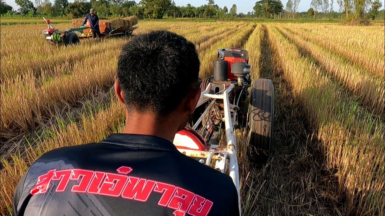 ช่างเอี๋ยว สับ2กลางทุ่งนา‼️  ถ้าเหยียบก้อนฟางขึ้นมาแล้วก็ ไม่อยากจะคิดเลย🤣🤣
