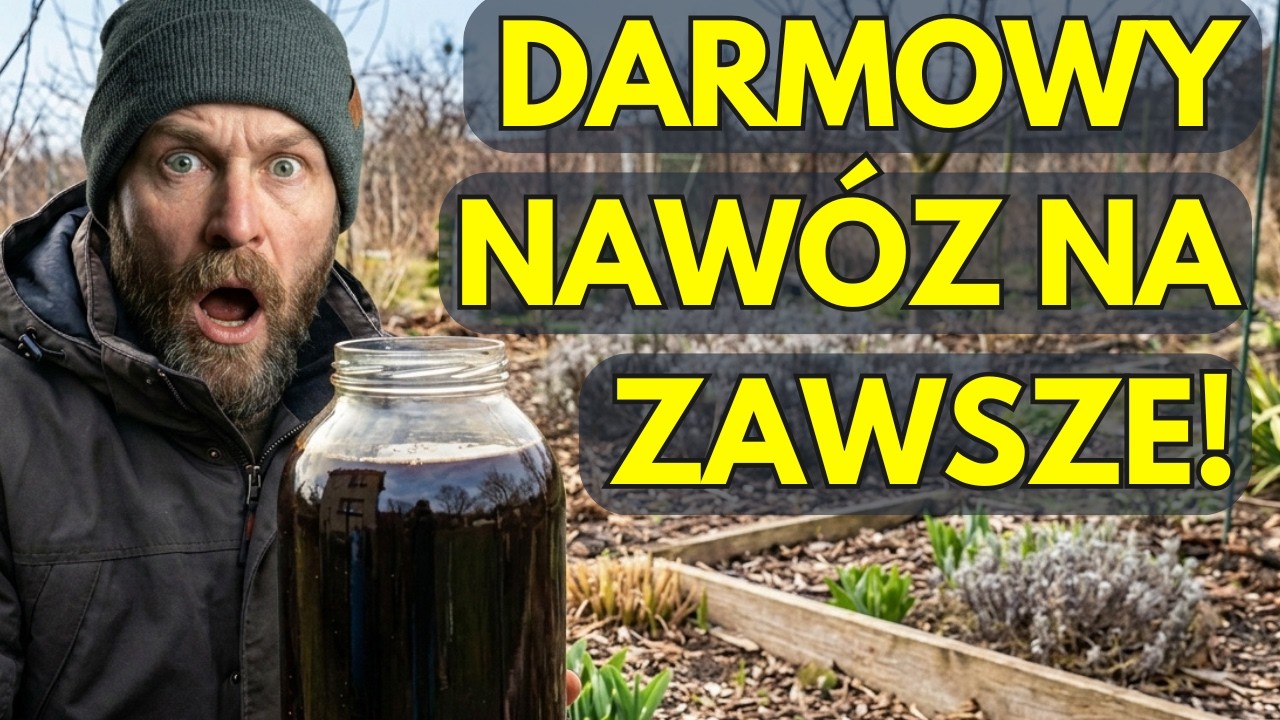 Marzec W Ogrodzie: Ten Płynny Nawóz Kosztuje 0 zł!