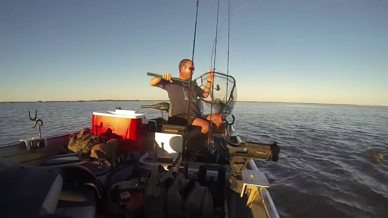 DTF Fall fishing at Cheney Reservoir YouTube