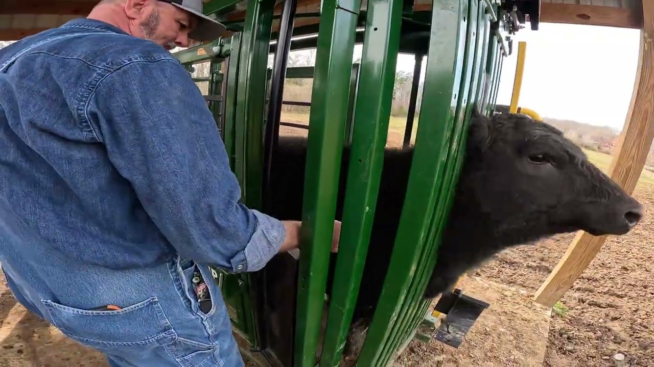 Working a good group 