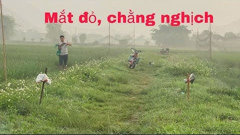 Đánh mắt đỏ, chằng nghịch di cư đêm 2025